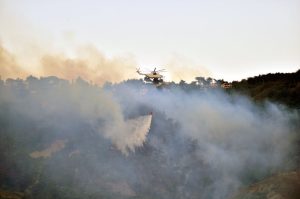 وفاة طفل واضرار كبيرة.. استمرار حريق غابات هاتاي لليوم الثاني “فيديو”