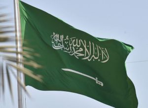 سقوط طائرة في السعودية.. وتصريح عاجل من السلطات