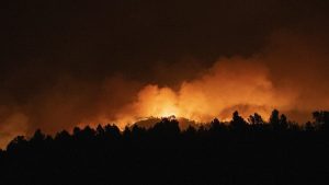 الطيران الروسي يشارك في جهود إخماد حرائق الغابات بتركيا