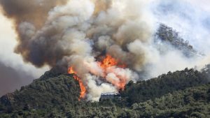 اتساع حرائق الغابات في تركيا لتشمل 3 ولايات