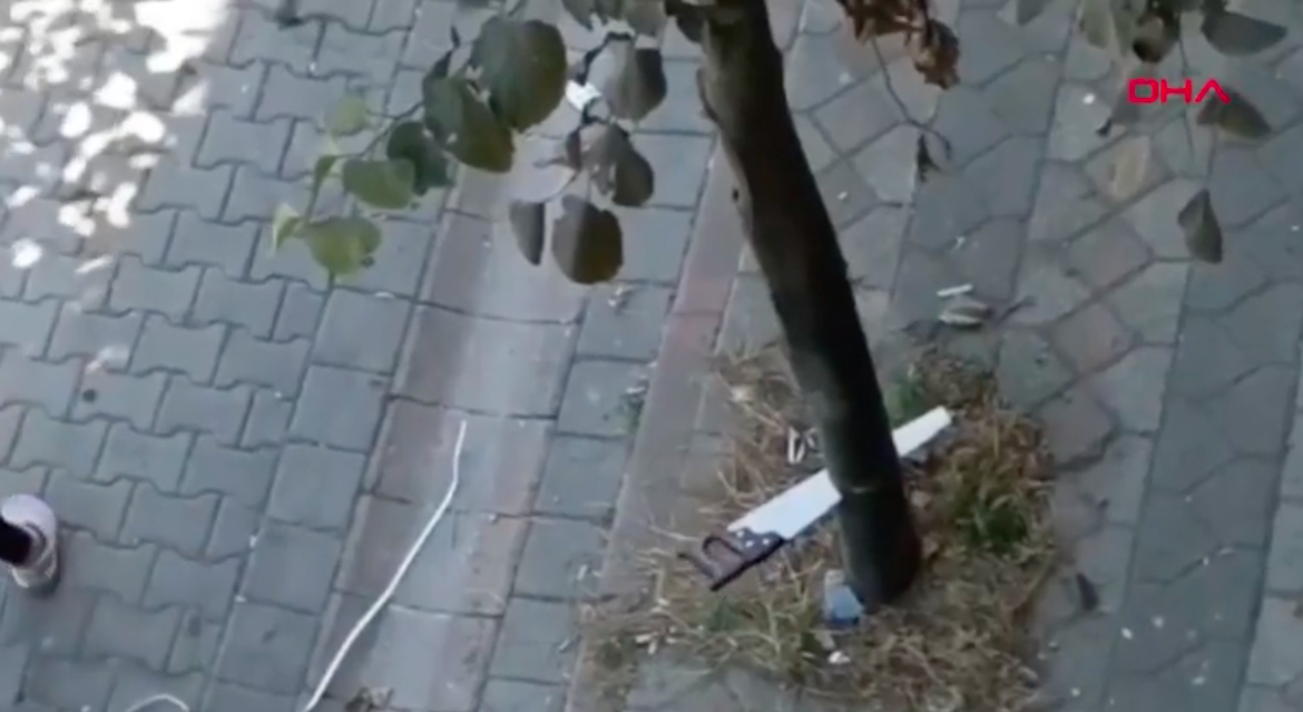 أمن إسطنبول يعتقل إمرأة إعتدت على شجرة 17