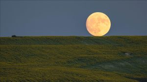 “القمر العملاق” يشكل مع حقول عباد الشمس لوحة فنية في اسطنبول