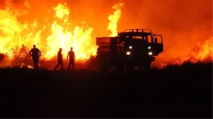 اندلاع حريق هائل في غابة بولاية موغلا