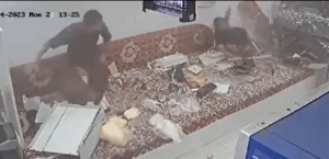 فيديو مروع.. سيارة تقتحم مطعماً في السعودية