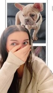 فتاة تشتري كلب عبر الإنترنت بألف دولار.. والنتيجة كارثية 17