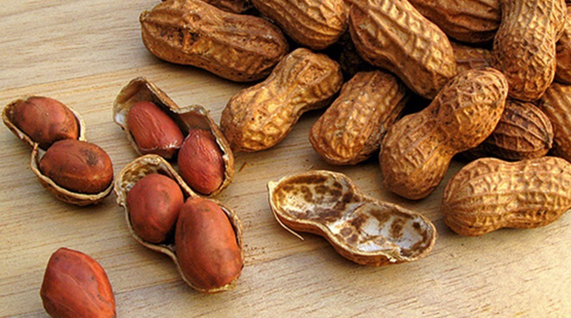 مسافرة تحرم جميع ركاب الطائرة من تناول الفول السوادني.. تفاصيل مثيرة 21