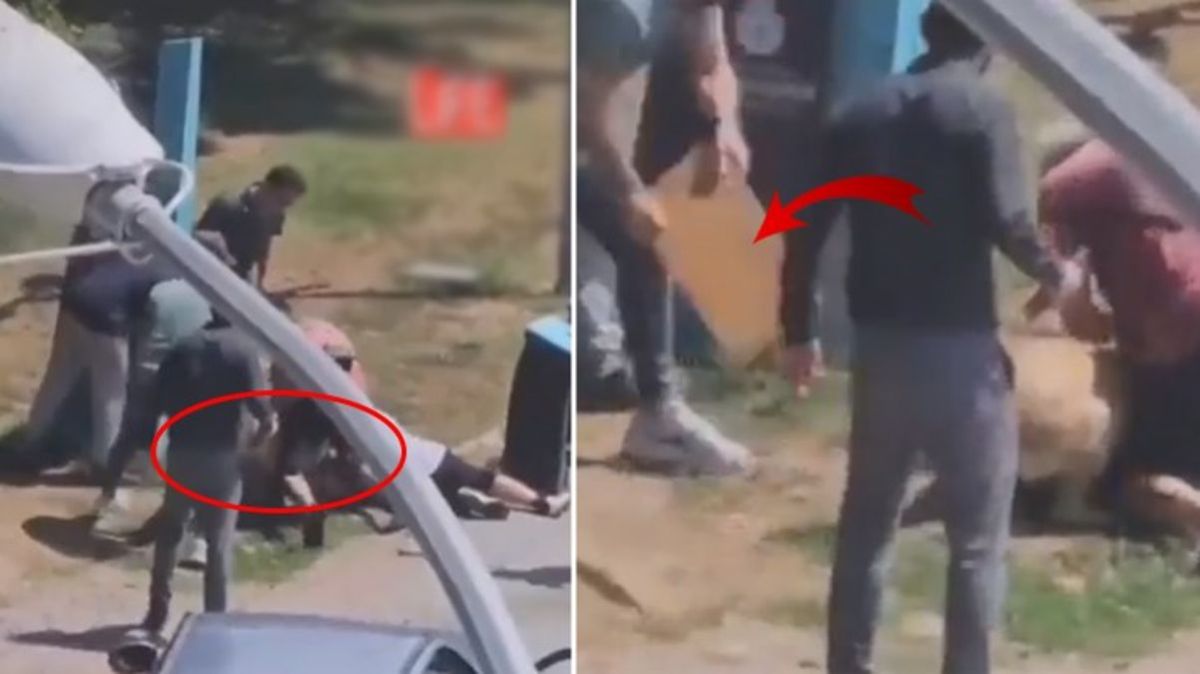 كلب يهاجم امرأة وسط إسطنبول 25