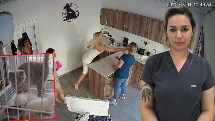 هجوم مروع على طبيبة بيطرية تركية من قبل متـ.حولين جنـ.سيا بسبب قطة "صور + فيديو" 15