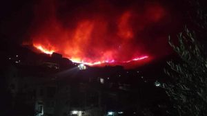 إندلاع حريق غابات هائل في إسطنبول