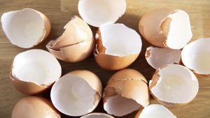 خبيرة تغذية تكشف عن فوائد غير متوقعة لقشر البيض وتوضح طريقة تناوله