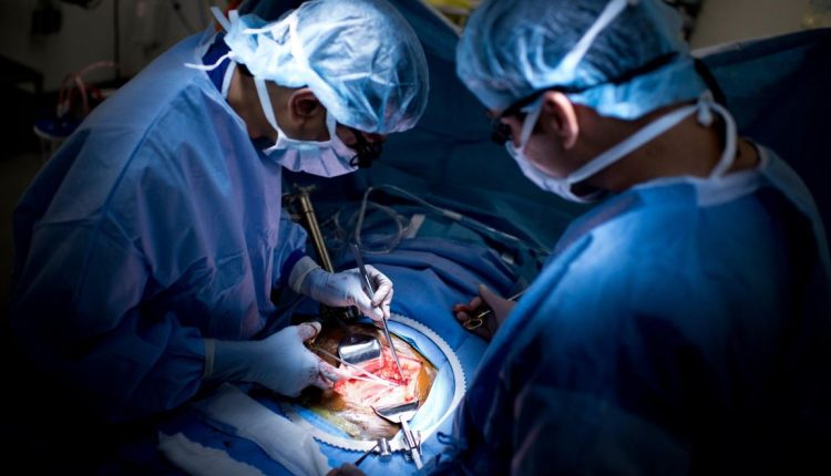 البحث عن الحب عبر الإنترنت يقود امرأة إلى فخ مظلم في تجارة الأعضاء