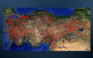 45 مدينة تركية تواجه خطر الزلازل.. تقرير جديد يكشف التفاصيل