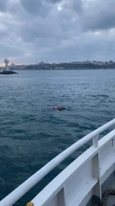 سقوط راكب من عبّارة في مياه البوسفور باسطنبول "شاهد" 7