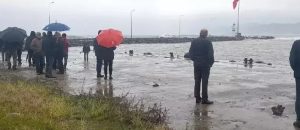 العاصفة تتسبب بحادثة مأساوية في طرابزون التركية