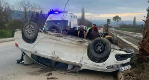 كلب يتسبب بانقلاب سيارة في “باليك اسير” التركية