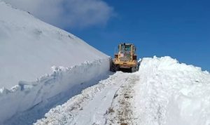 الثلوج تغلق 100 طريق في مدينة تركية