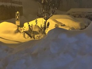 الثلوج تصل لـ 40 سم في تركيا 11