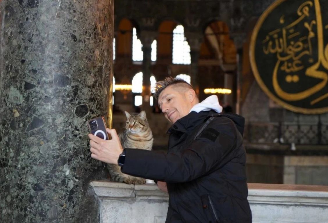 وريث عرش جلي: قط جديد يتربع على قلوب زوار آيا صوفيا! 3