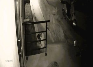 تركيا.. طالبة جامعية تترك منزلها بعد شهرين من التحرش المستمر