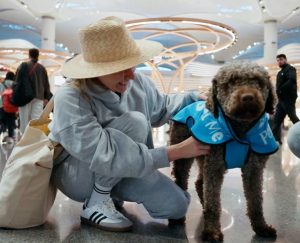 لاول مرة في مطار اسطنبول.. كلاب لتهدئة المسافرين وتخفيف التوتر “فيديو”