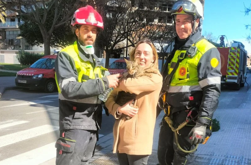 قطة تنجو من حريق أودى بحياة 10 أشخاص 1