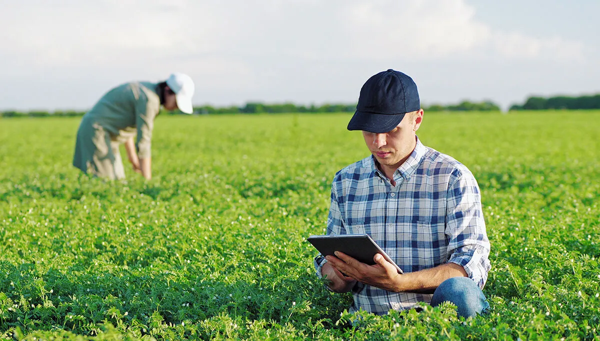 الأسعار تنهار فجأة والمزارعون في صدمة في أنطاليا التركية