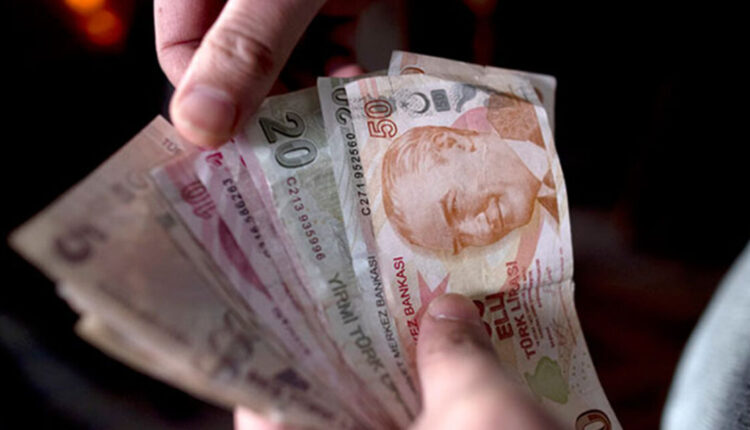 انخفاض كبير على أسعار "الأنشوجة" في تركيا