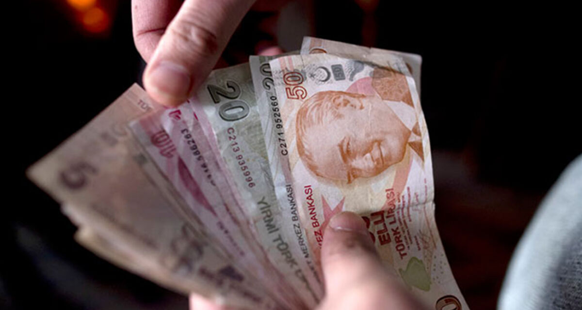 انخفاض كبير على أسعار "الأنشوجة" في تركيا