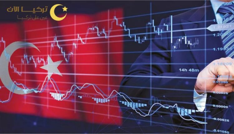 الاقتصاد التركي في 2024: المستثمرون يتوجهون نحو الأصول الآمنة