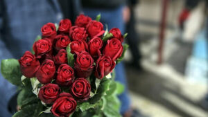قبل شراء الزهور في 14 فبراير.. تعرف على الأسعار الرسمية!