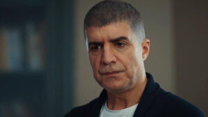 أجور الفنانين الأتراك في حفلات عيد الفطر