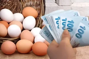 انخفاض أسعار البيض في تركيا لا ينعكس على الملصقات!
