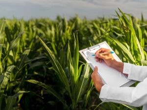 ثورة زراعية في تركيا