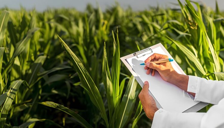 ثورة زراعية في تركيا