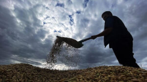 الزراعة التركية في خطر كبير