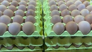 خبر سار للمقيمين في تركيا، وخاصة لمحبي البيض