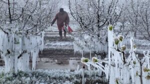 كارثة تضرب الزراعة في تركيا.. وتحذير عاجل من وزارة الزرعة والغابات
