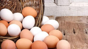 ماذا حدث لأسعار البيض في تركيا؟