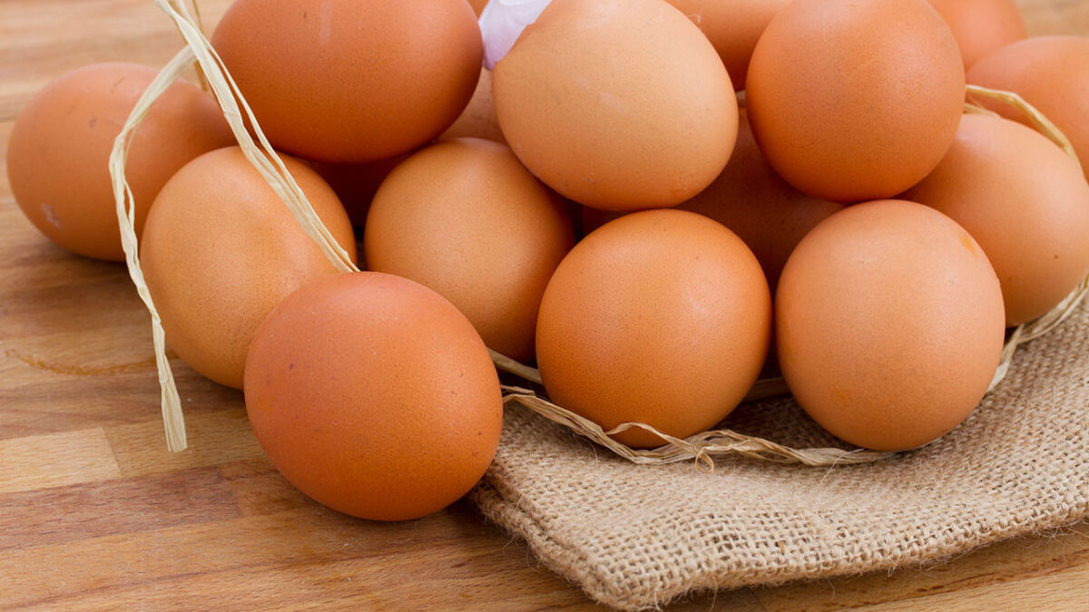 البيض يثير غضب حزب الشعب الجمهوري في تركيا.. ما الذي يحدث؟