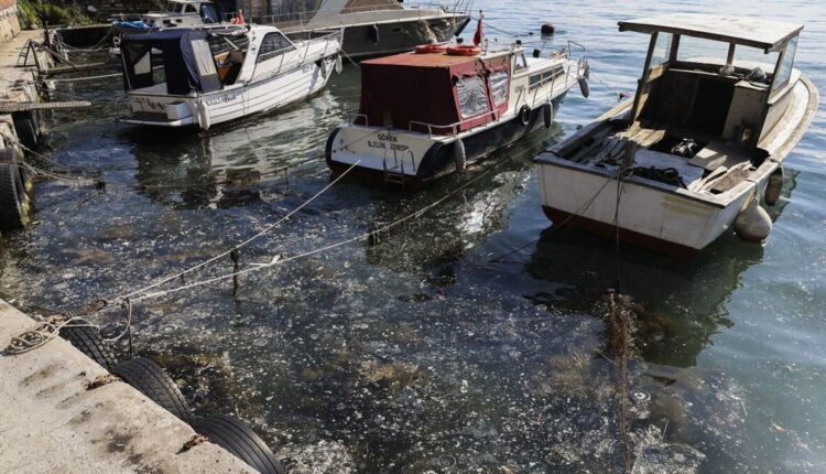 الكابوس يعود لإسطنبول... حالة تأهب في مضيق البوسفور 1