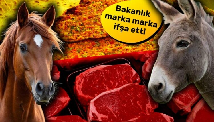 فضيحة جديدة تهز قطاع الغذاء في تركيا.. العثور على لحوم حمير وخيول في منتجات معروفة