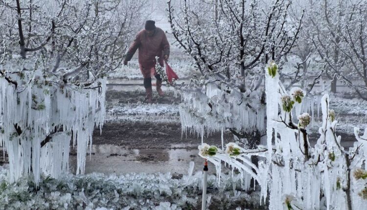 كارثة تضرب الزراعة في تركيا.. وتحذير عاجل من وزارة الزرعة والغابات