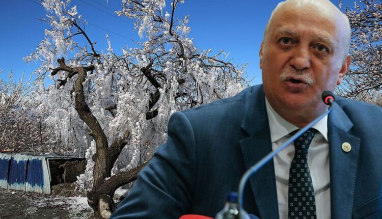 كارثة زراعية في تركيا.. 65 ولاية في مرمى الخسائر والمزارعون يستغيثون