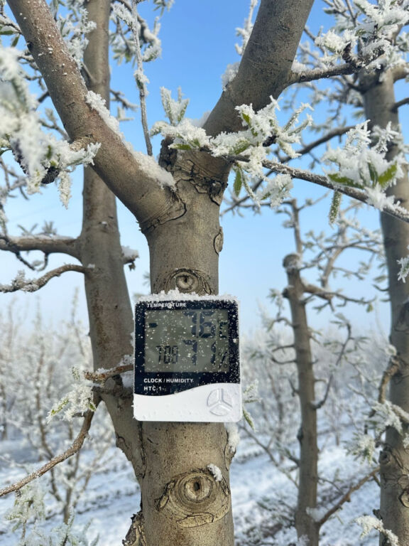 كارثة تضرب الزراعة في تركيا.. تحذير عاجل من وزارة الزرعة والغابات 1