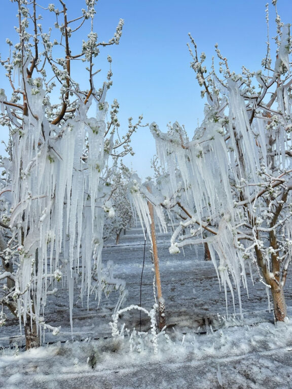 كارثة تضرب الزراعة في تركيا.. تحذير عاجل من وزارة الزرعة والغابات 3