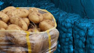 أرسلوا لنا السموم على الموائد في تركيا! تم اكتشاف فيروسات في آلاف الأطنان من البطاطس