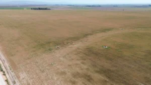 الجفاف يضرب اكثر المناطق خصوبة في تركيا.. "خسائر غير مسبوقة"