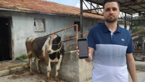 في موسم الأضاحي.. محتال ذكي يطيح بتاجر مخضرم قبل العيد!