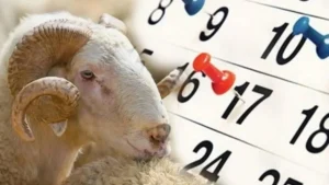 كم يوم عطلة عيد الأضحى في تركيا؟ إليك التفاصيل