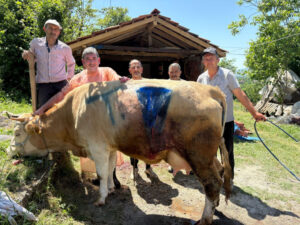 مزارع في بارتين يواجه ولادة نادرة لا تحدث إلا مرة في كل مئة ألف حالة